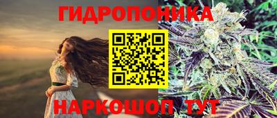 марки nbome Новозыбков